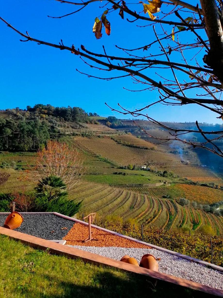 Quinta De Baixo Villa Vila Marim ภายนอก รูปภาพ