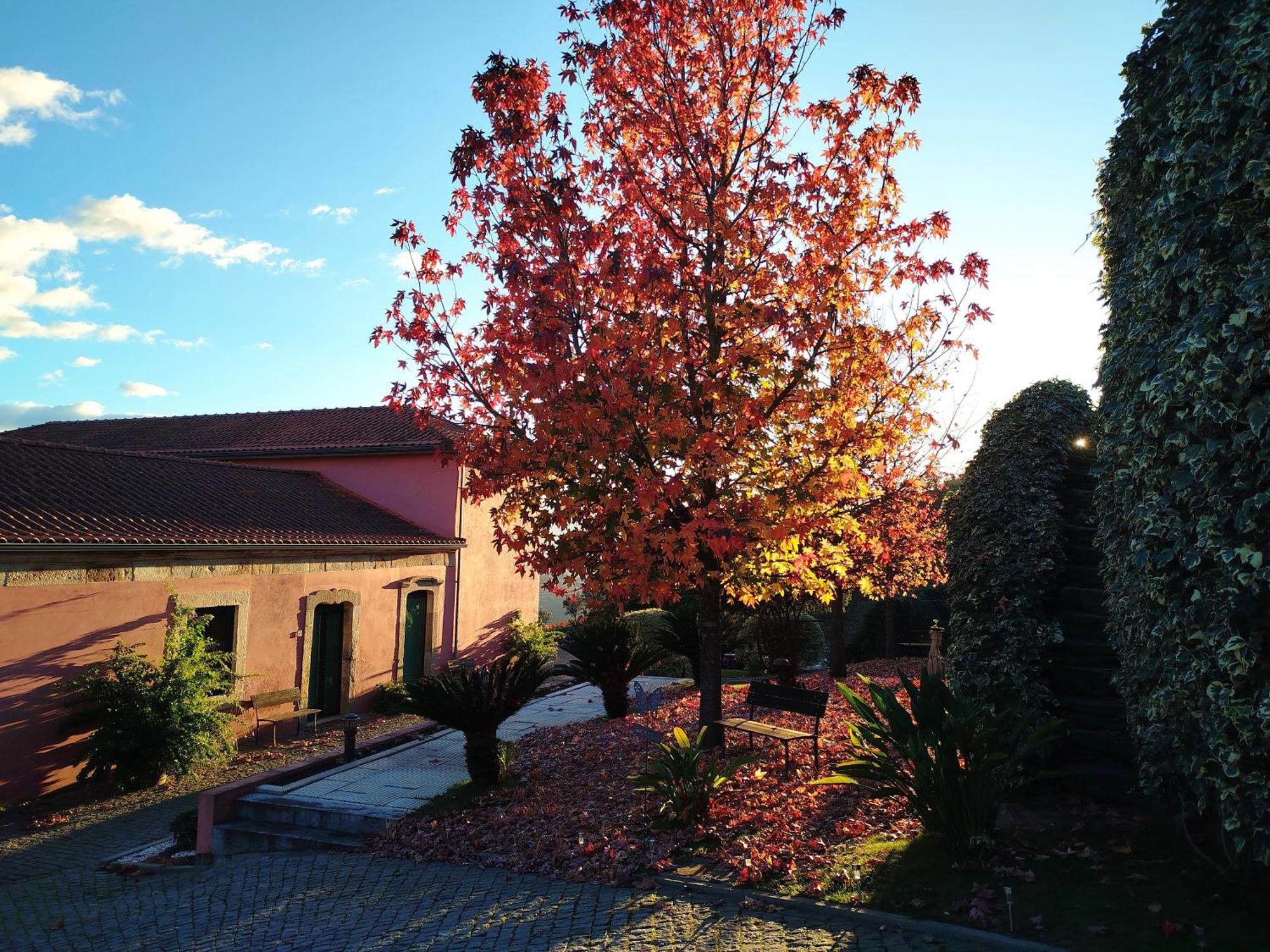 Quinta De Baixo Villa Vila Marim ภายนอก รูปภาพ